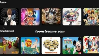 toonstream apk