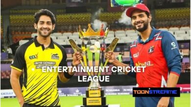 entertainment cricket league