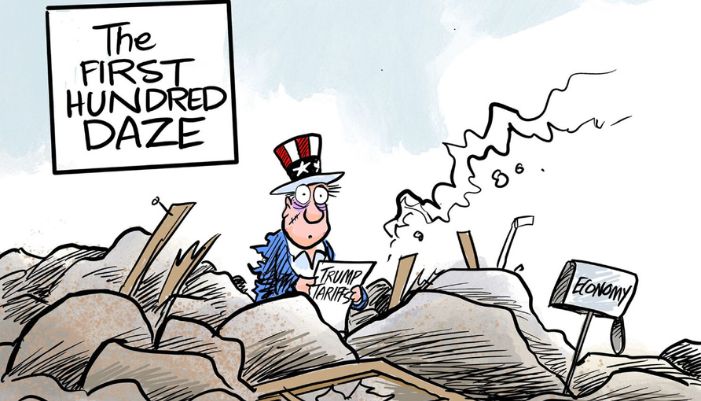 the national cartoon 